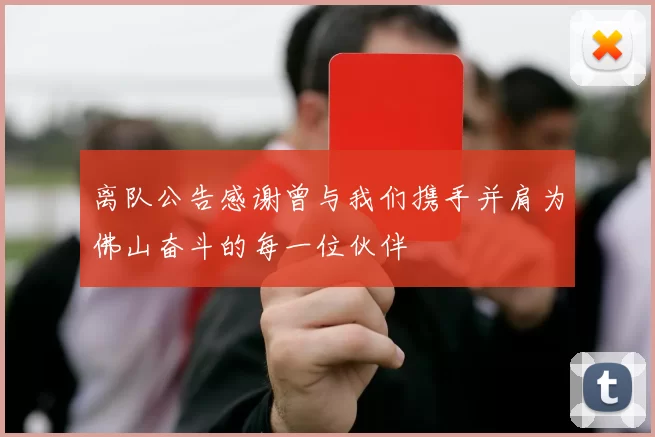 离队公告感谢曾与我们携手并肩为佛山奋斗的每一位伙伴