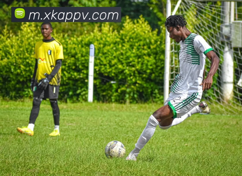 星空体育app平台生态图